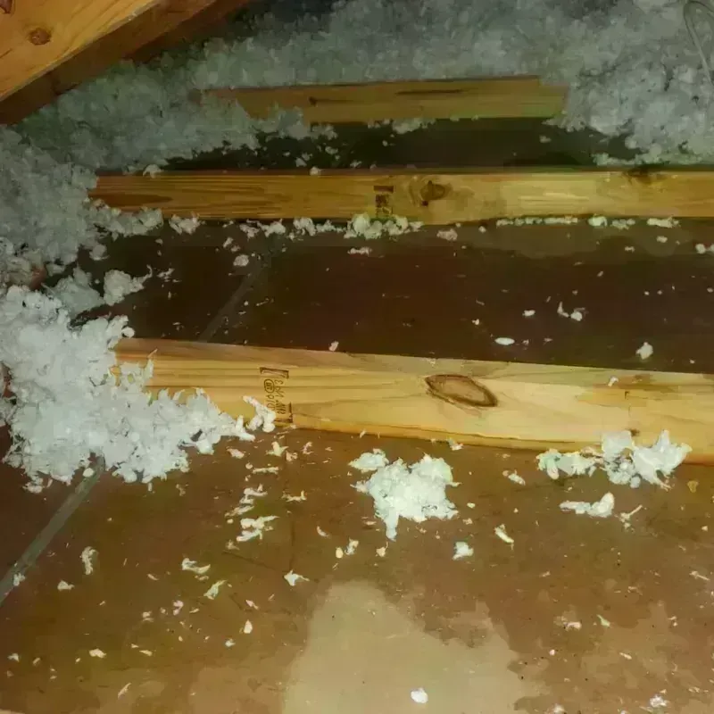 Attic Water Damage in Meadowbrook, VA